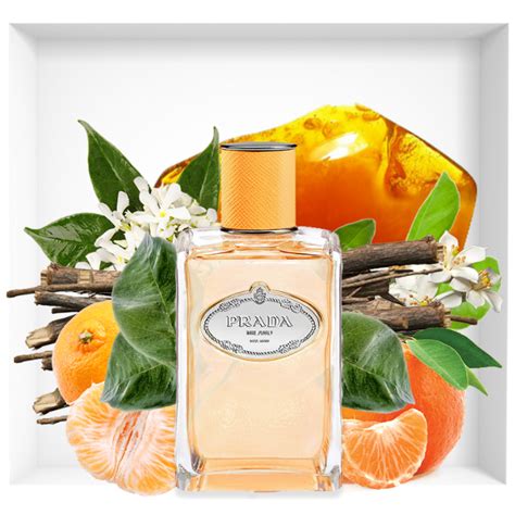 les infusions de prada mandarin 100ml|Infusion de Mandarine Eau de Parfum .